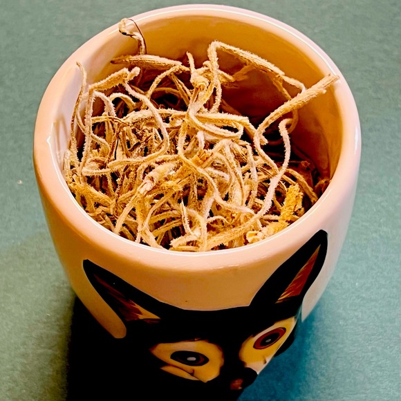 Mini DOG Planter Air Plant Set - Spanish Moss Fine Mist Sprayer FREE Air Plant - Picture 12 of 15